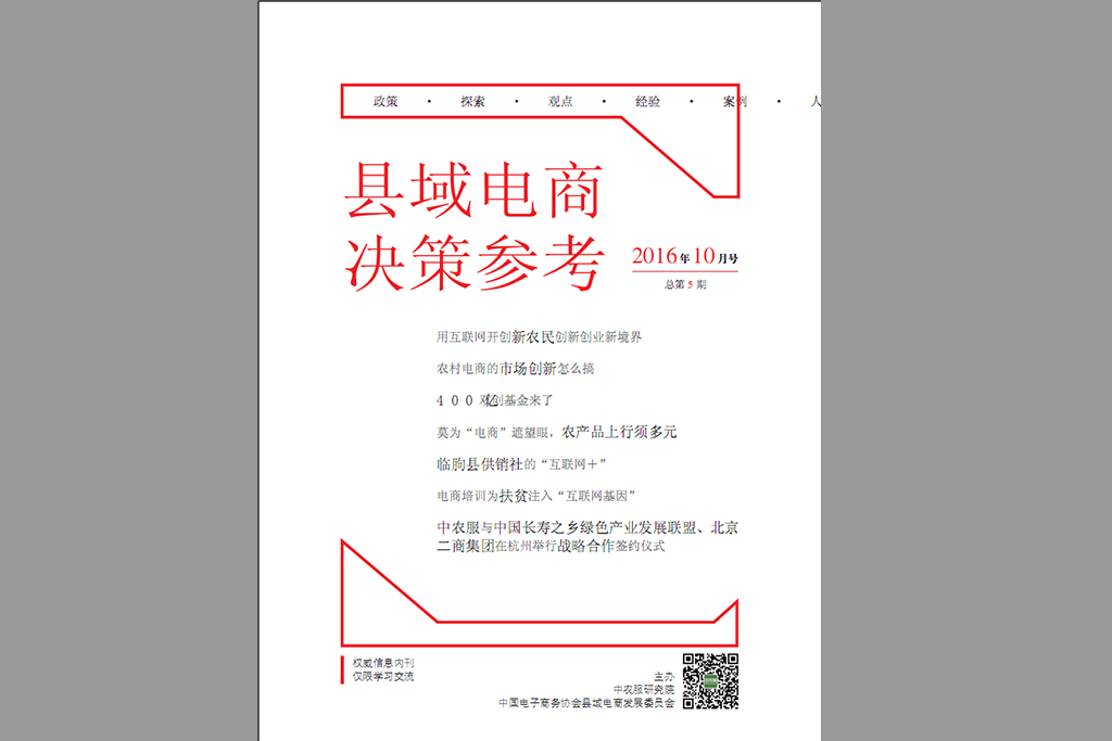 县域电商决策参考  2016年10月号